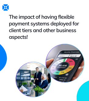 Impact of flexible payment systems at client tiers and other business aspects!